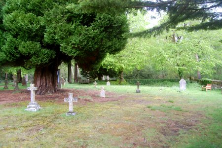 St Matthew's Church, Blackmoor (NHLE Code 1351142) (May 2021) (Churchyard)