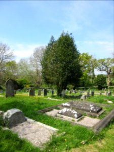 St Mildred's Church, Beatrice Avenue, Whippingham, Isle of Wight (May 2016) (Churchyard) (2)