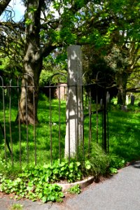 St Martin's Churchyard, Exminster (2021-05-19) 03