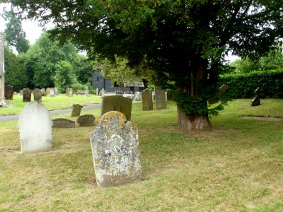 St Michael's Church, Church Street, Betchworth (July 2013) (Churchyard) (2)
