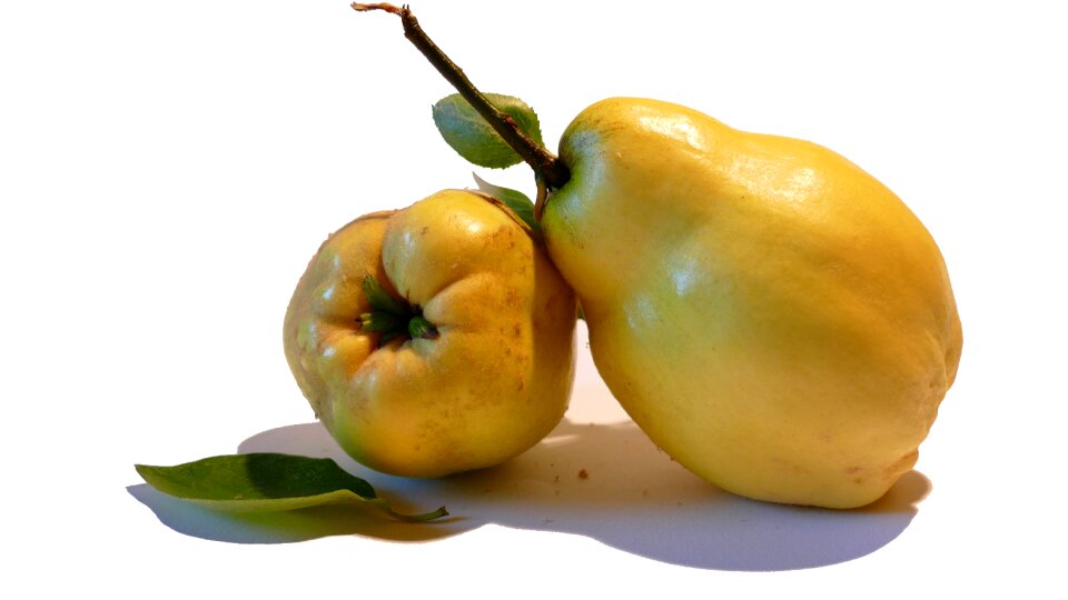 Pome fruit healthy vitamins