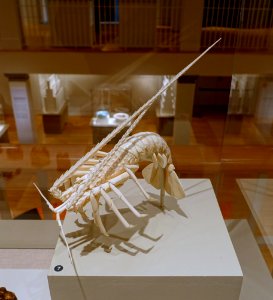 Spiny lobster, Japan, late 1800s AD, ivory - Peabody Essex Museum - DSC07806