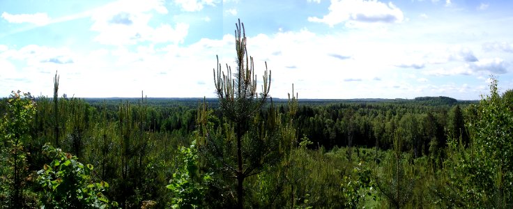 Sperjanu kalns