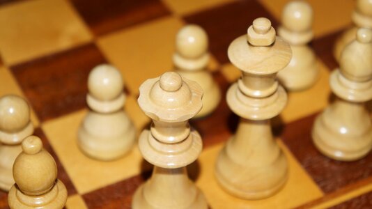 Play king chess pieces