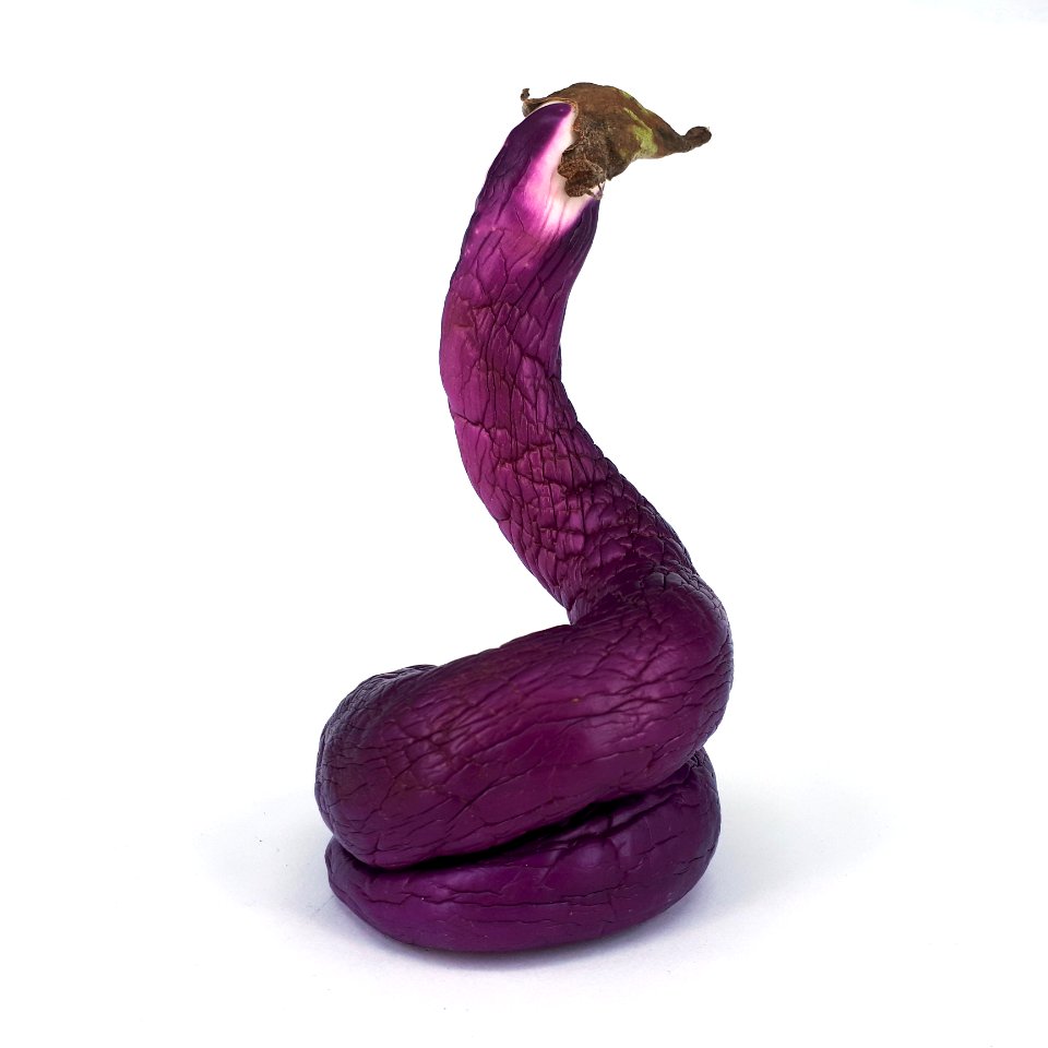 Spiral-shaped Orient Charm eggplant 2017 A3