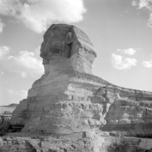 Sphinx van Gizeh, Bestanddeelnr 255-6610