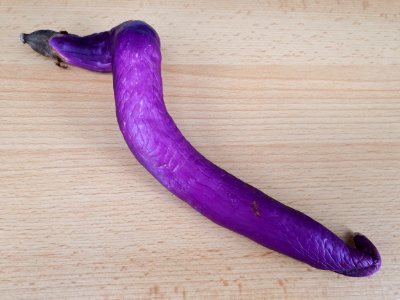 Spiral-shaped Orient Charm eggplant 2017 B