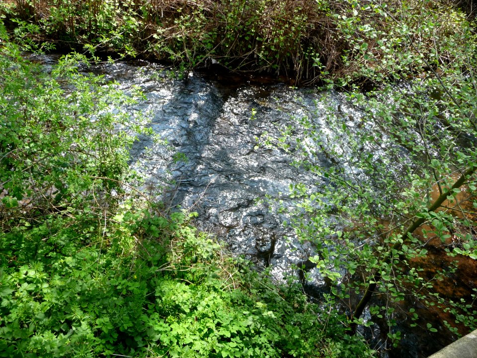Speyerbach-Hochspeyerbach 3