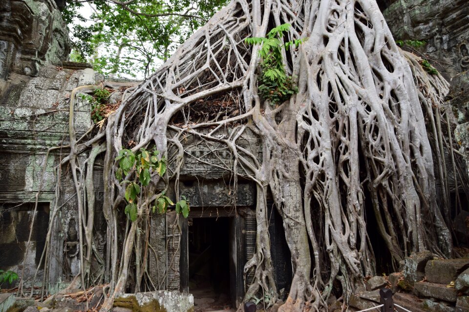 Cambodia angkor religious