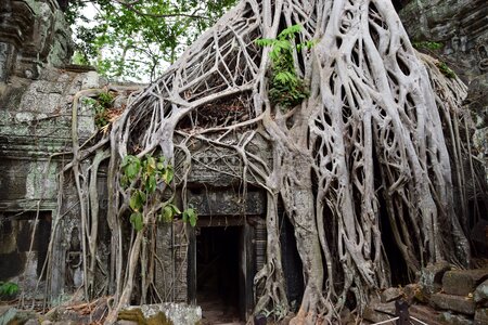 Cambodia angkor religious