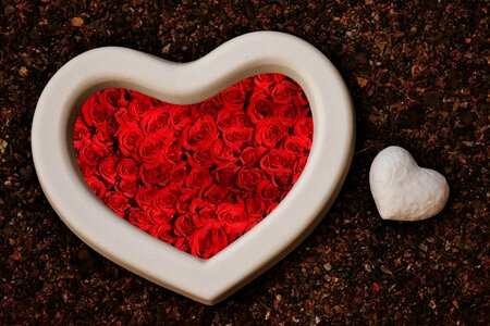 Unpainted white love