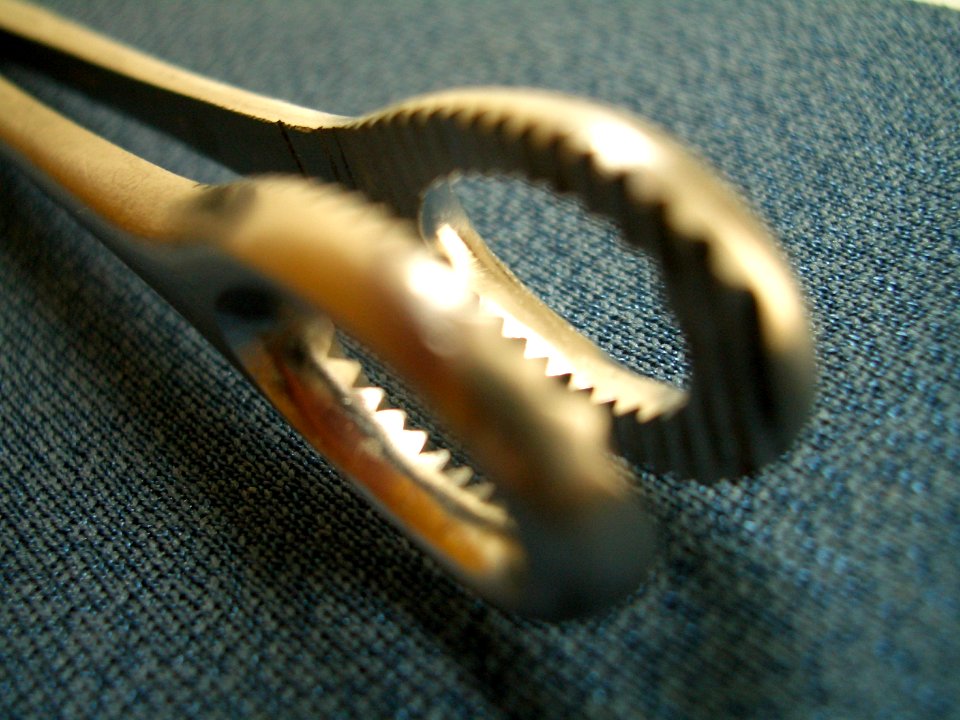 Sponge Rampley Forceps Clamp 02