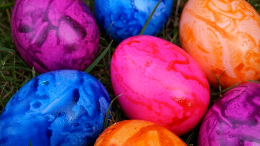 Easter eggs easter colorful eggs photo