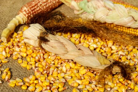 Woven corn on the cob hair brown