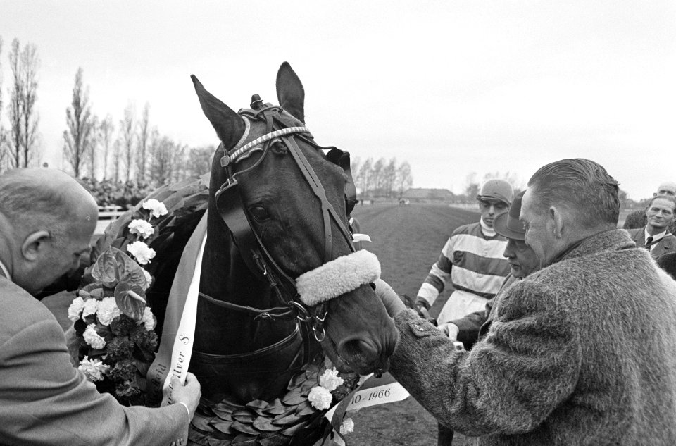 Sport, paarden, draf- en rensport, Utrecht (prov.), Utrecht (gem.), Bestanddeelnr 919-7369