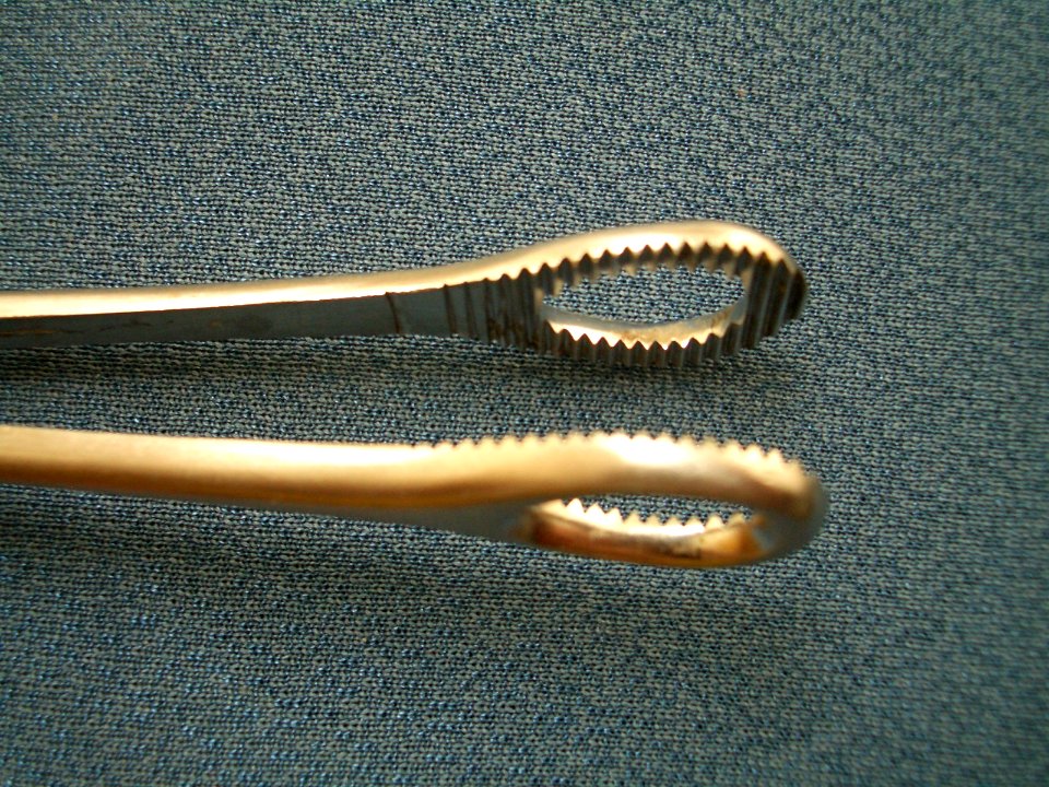 Sponge Rampley Forceps Clamp 05