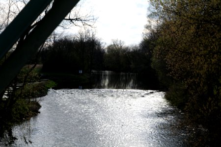 Spree in Biotopverbund Spreeaue 2021-04-24 04