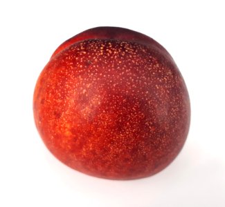 Spotted nectarine 2017 A2