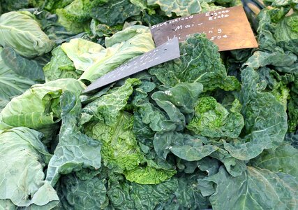 Kohl green eat