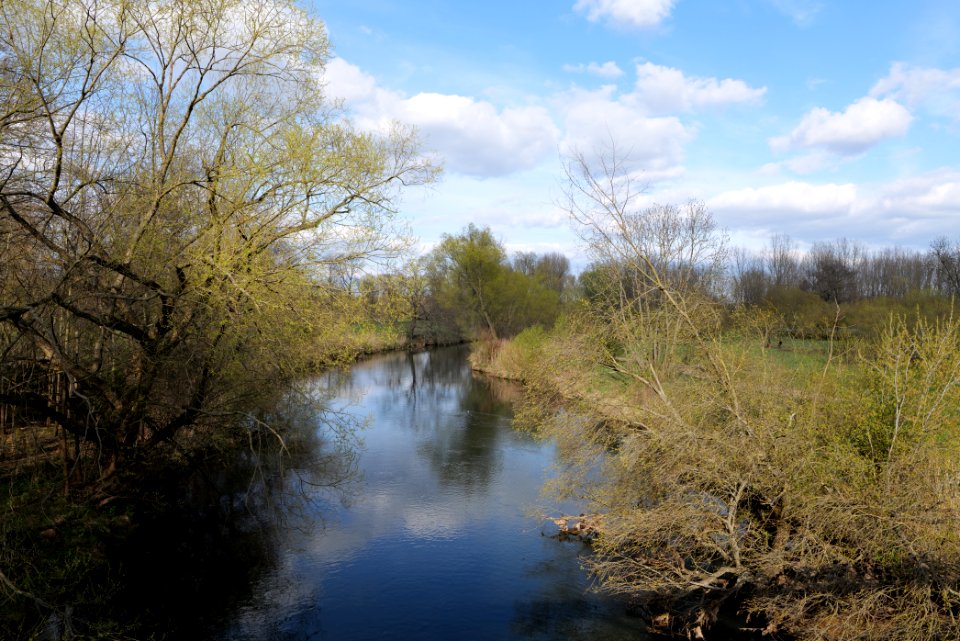 Spree in Biotopverbund Spreeaue 2021-04-24 07