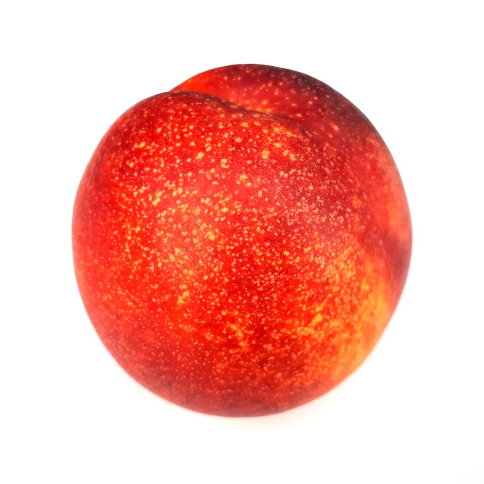 Spotted nectarine 2017 C