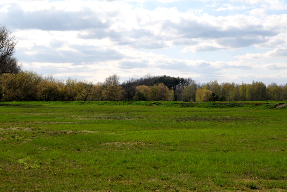 Spreeaue Cottbus-Nord 2021-04-24 63