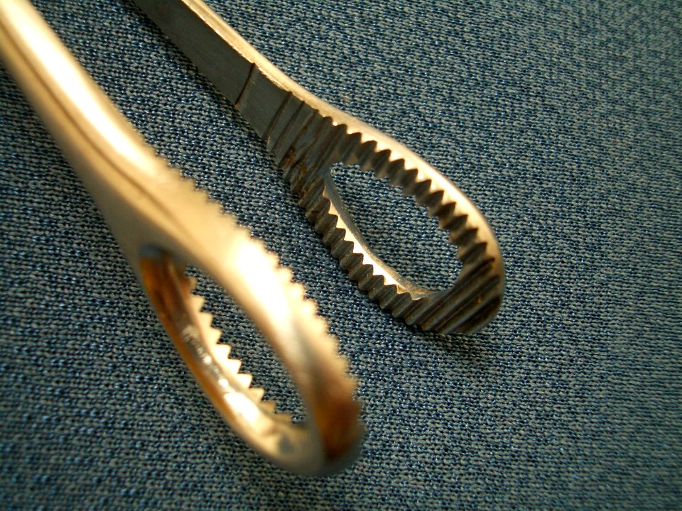 Sponge Rampley Forceps Clamp 04