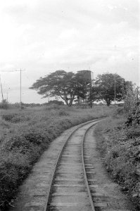 Spoorrails, watertroen en telefoonmasten, Bestanddeelnr 3606