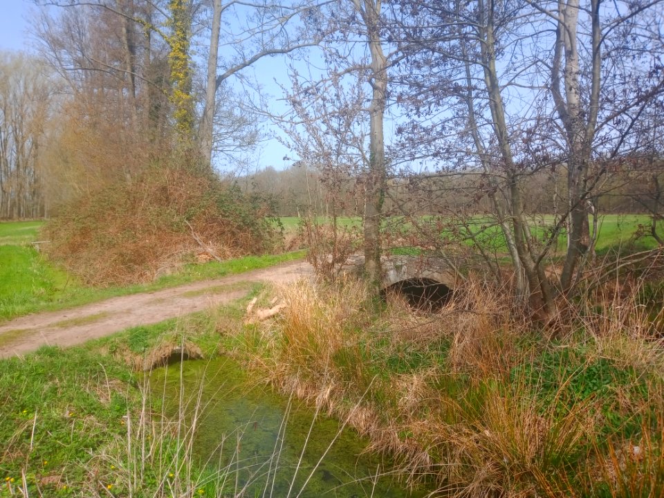 Spiegelbach, Brücke im Oberlauf (2)