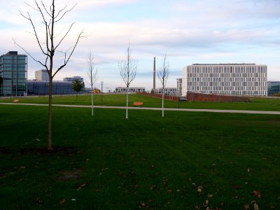 Spreebogen park 2019-10-19 10