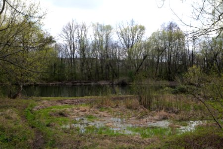 Spreeaue Cottbus-Nord at Käthe-Kollwitz-Ufer 2021-04-24 11