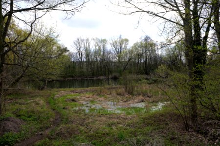 Spreeaue Cottbus-Nord at Käthe-Kollwitz-Ufer 2021-04-24 10