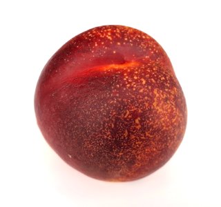 Spotted nectarine 2017 A1