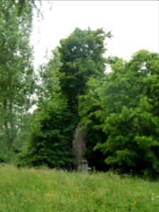 Sprimont-tilleul de Lillé (8)