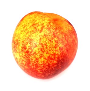 Spotted nectarine 2017 E