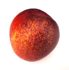 Spotted nectarine 2017 D