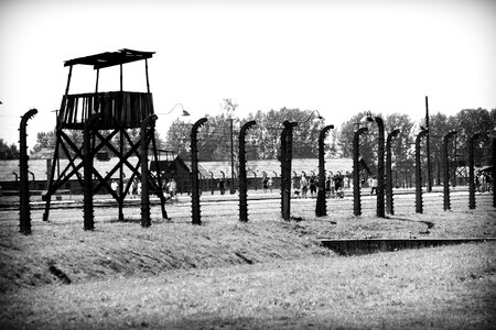 Vedetta nazism jews