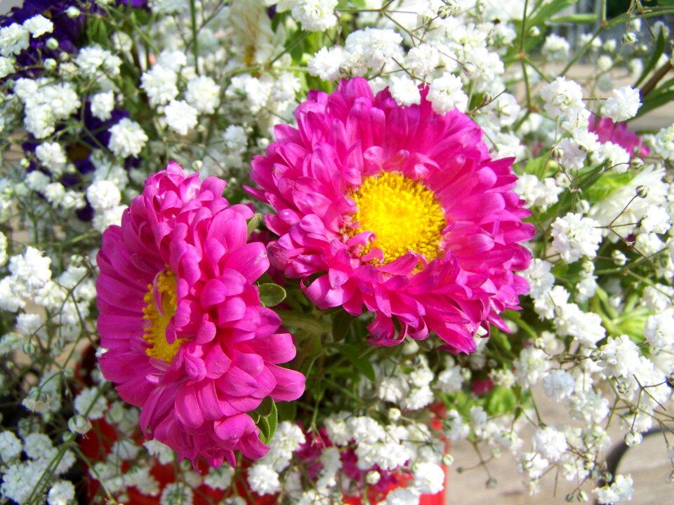 Flower bouquet pinkish-white cut flower