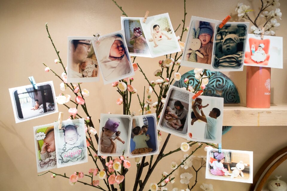 Party photos tree