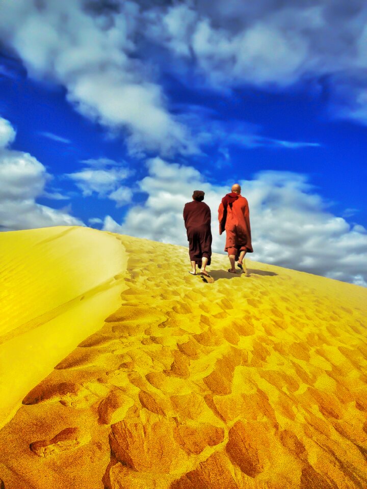 Desert sand landscape