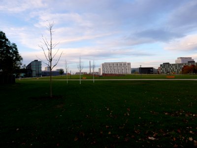Spreebogen park 2019-10-19 09