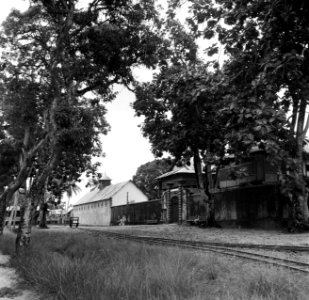 Spoorlijn langs de strafgevangenis in Saint-Laurent-du-Maronie in Frans- Guyana, Bestanddeelnr 252-6646