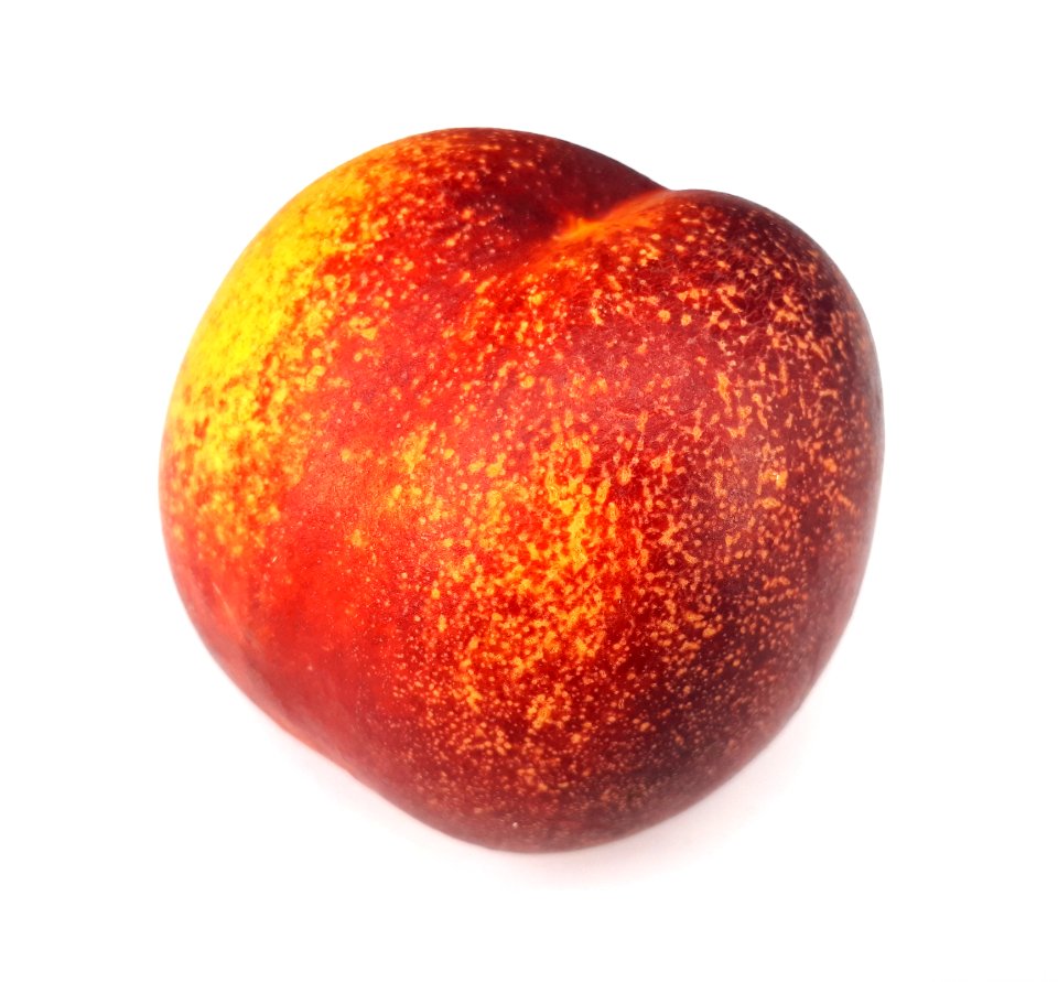 Spotted nectarine 2017 B1