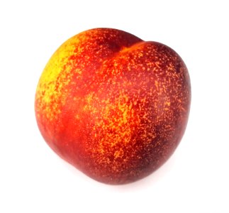 Spotted nectarine 2017 B1