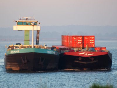 Splendor (ship, 1989), ENI 02319012, Port of ANtwerp pic2