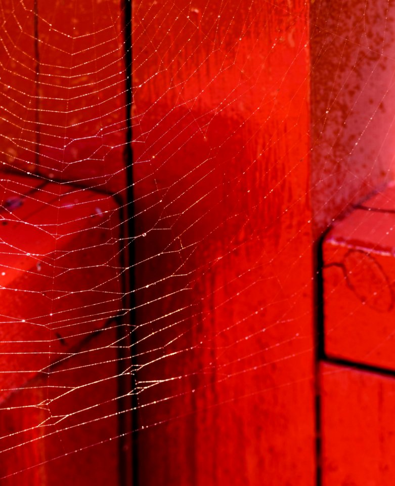 Spider web on red balcony