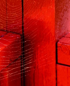 Spider web on red balcony photo