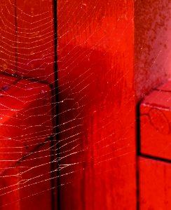 Spider web on red balcony