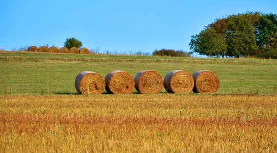 Hay bales landscape autumn photo