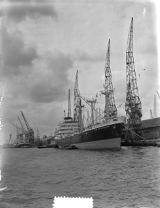 Spitsbergen, Bestanddeelnr 905-8703